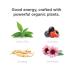 GURU | Original Plant-Based Energy Drink | Recharge with Good Energy from Green Tea | Natural & Organic Ingredients | Healthy Energy drinks to Help Stay Focused | Refreshing Taste | 8.4oz (Pack of 24) - Buy Online on SooperMarket.com