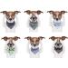 Buy ARING PET Cotton Leaf Dog Bandana | Triangle Bibs & Neckerchiefs for Small & Large Dogs & Cats - Buy Online on SooperMarket.com