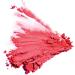 Color Pro Blush Papaya Punch - Vibrant Shade for Cheeks (10940) - Buy Online on SooperMarket.com