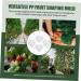 STOBOK 4pcs Melon Forming Gardening Major Molds Garden Design Plastic Fruit Heart Tools Small Strawberry - Buy Online on SooperMarket.com