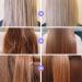 mercham Coconut Oil for Hair Growth 100% Natural Fractionated Coconut Oil Hair Serum for Dry Damaged Hair Hair Loss Treatment for Men & Women Leave-in Spray Hair Oil for All Hair Types-55ml - Buy Online on SooperMarket.com