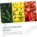 GANAZONO 4 Pcs Fruit and Vegetable Shaping Mold Fruit Stereotypes Cucumber Tool Heart-Shaped - Buy Online on SooperMarket.com