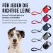 High-Quality 5m Cong Roll-Out Dog Leash for Small Dogs (up to 20kg) - Comfortable Reflective with Break & Lock System - Size S - Gray - Buy Online on SooperMarket.com