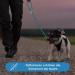 High-Quality Adjustable Dog Leash - 2m Reflective Weatherproof & Tearproof Paracord for Small to Large Dogs | Turquoise & Black | Up to 250kg Strength - Buy Online on SooperMarket.com