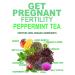 Organic Fertility Tea with Chasteberry & Red Raspberry Leaf | Aid Conception, Ovulation, Menstrual Cycles | 40 Cups, 1 Pack - Buy Online on SooperMarket.com
