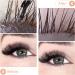 Eyelash Cleanser Concentrate 100ml Almond Professional Lash Extensions Shampoo Concentrate Natural Foaming Cleanser DIY Paraben & Sulfate Free Non-lrritating Wash for Extensions Lashes with Salon Home Care-Makes 60ml Bottles Eyelash Shampoo Almond 100ml - Buy Online on SooperMarket.com