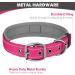 Joytale Softly Padded Neoprene Dog Collar for Medium Dogs - Reflective Wide Nylon Collar in Bright Pink (1 Pack) - International Shipping Available - Buy Online on SooperMarket.com