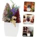 HOMSFOU 5pcs Christmas Simulation Potted Plant Tiny Christmas Tree Christmas Pine Tree Artificial Plant for Desk Decor Fake Plant Christmas Plant Decoration Small Plant Plastic Office Mini Goldenx5pcs 21X11cmx5pcs - Buy Online on SooperMarket.com