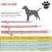 YUDOTE Dog Collar Medium Strong Reflective Nylon Webbing with Soft Comfy Neoprene Padded Linning for Medium Dogs Daily Use Pink M (Pack of 1) Pink - Buy Online on SooperMarket.com