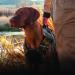 Browning Camo Neoprene Dog Vest | Realtree MAX-5 | Size Medium Realtree MAX-5 Medium - Buy Online on SooperMarket.com