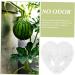OSALADI Plant Plastic Fruit Clear Fruit Yard Fruit Fruit Forming Heart-Shaped Pumpkin - Buy Online on SooperMarket.com