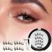 DASHIELL False Eyelashes Magnetic | No Glue Needed Eyelashes Kit With Applicator | Easy To Apply Lightweight Reusable No Glue Needed Lashes For All-Day Comfort - Buy Online on SooperMarket.com