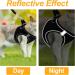 Frevoitna Cat Dishes with Leash - Adjustable Cat Harness Reflective & Breathable - Ideal for Walks (Black XS) - International Shipping Available - Buy Online on SooperMarket.com