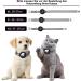 Buy Mouyou Airtag Cat Neck Band - Leather Adjustable Airtag Collar for Cats & Dogs (28-37cm) - Purple with Safety Clasp & Holder - Buy Online on SooperMarket.com