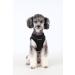 Buy Puppia Dog Harness for Small & Medium Dogs - Soft Vest Available in Colors | Atani Train Crockery for Dogs - Brown XS - Buy Online on SooperMarket.com