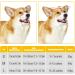 Buy Cute Duck-Shaped Dog Muzzle | Soft Adjustable Silicone Anti-Bite & Anti-Eating for Small & Medium Dogs - Buy Online on SooperMarket.com