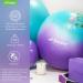 Trideer Dreamy Exercise Ball 65cm - Yoga Ball for Home Gym, Desk Chair - Fitness & Physical Therapy - Quick Pump Included - Buy Online on SooperMarket.com