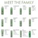 SURFACE Hair Blowout Firm Hair Spray for Women and Men 8.8oz - Heat Protecting Volumizing Lychee and Maracuja Oil - Premium Blowout Hair Products for Styling - Buy Online on SooperMarket.com