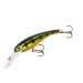 Cotton Cordell Wally Diver Walleye Crankbait Fishing Lure 2 1/2", 1/4 oz Gold Perch
