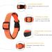 Heele Soft Padded Neoprene Dog Collar for Small & Medium Dogs | Adjustable Reflective Training Collar - Orange Longitudinal 34-52 cm (1 Pack) - Buy Online on SooperMarket.com