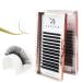 Dassen False Eyelashes Extension Lashes Easy Fan Volume Lashes 0.07 DD Curl 8-15mm Self Fanning Volume Lashes Automatic Blooming Flower 2D 10D Lashes Long Lasting Blooming Lashes(Mix8-15) 0.07dd