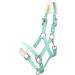 Shop RL24 Halter with Plush Padding - BASICLINE in 6 Colors for Shetland Pony Thoroughbred & Warmblood | Light Green Warmblood Edition - Buy Online on SooperMarket.com