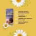 Dr. Chase Pediatrics Kolik Sweet Dreams Gripe Water Nighttime Formula All Natural Gas Drops for Babies - Herbal Formula to Ease Digestive Discomfort & Fussiness Alcohol Free 150ml - Buy Online on SooperMarket.com