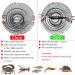 Drasry Portable Crab Trap Bait Net 23.6in x 11.8in - Collapsible Fishing Trap for Lobster, Crawfish, Shrimp - Black, 1 PCS - Buy Online on SooperMarket.com