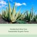 Organic Aloe Vera After Sun Gel - Sunburn Relief & Moisturizer - 98% Pure Vitamin B5 Enriched Non-Sticky Formula by Florida Glow - Buy Online on SooperMarket.com