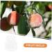 Kisangel 2pcs Shaped Fruit Novel Shaping Adorable Forming Shaper Accessories Watermelon - Buy Online on SooperMarket.com