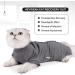 HEYWEAN Cat Recovery Suit After Surgery E-Collar Alternative Pet Medical Surgical Shirt Breathable Home Long Sleeve Cat Clothing L (Pack of 1) Grey - Buy Online on SooperMarket.com