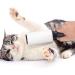 PET HAIR REMOVAL: Haer Lint Rollers 4 Pack - 220 Extra Sticky Sheets - Clothes Lint Remover - Buy Online on SooperMarket.com