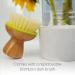 Full Circle Bubble Up Dish Brush Set of 3 - Eco-Friendly Bamboo Handles, Green - Buy Online on SooperMarket.com