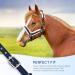 Nobleza Knotted Halter for Horses - Padded Nose & Neck Dark Blue | Ideal for Riding & Training - International Shipping Available - Buy Online on SooperMarket.com