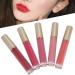 5pcs Liquid Lipstick Set Lip Glaze Gloss Matte Long Lasting Waterproof Cosmetic Makeup(#01 WHISPER)