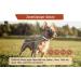 Animal Vita Tick Collar for Small Dogs | 100% Natural | 8 Months Tick Protection - Shop Now! - Buy Online on SooperMarket.com