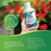 Nature's Way Calcium and Magnesium Citrate 2:1 - Liquid Supplement with Vitamin D3 and Collagen Helps Support the Maintenance of Bones and Teeth No Vitamin K2 - Blueberry Flavour 500 mL - Buy Online on SooperMarket.com