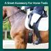 Agate Black Leather Spur Straps - 50cm/19.7in Stainless Steel Buckle Perfect for Horse Riding & High Boots | Premium Horse Accessories - Buy Online on SooperMarket.com