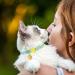 VKPETFR Breakaway Cat Collars with Bell & Cute Pendants - 3 Pack Adjustable Safety Kitten Collars - Ideal Decoration for Girl Boy Cats, Puppies, and Small Pets - Buy Online on SooperMarket.com