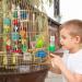 MQUPIN Large Bird Parrot Toys Colorful 22 Inch Wooden Blocks for African Greys, Amazons, Cockatoos and Macaws - Chew Toys for Large Parrots - Buy Online on SooperMarket.com