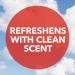 KIWI Shoe Deodorizer Spray 2.2 Oz - Pack of 3 | Sneaker, Leather & More | Fresh Shoe Deodorizer - Buy Online on SooperMarket.com