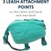 Luffwear Hundred Backpack for Large Dogs - Comfortable Saddlebag for Day Hikes | Front Range Day Pack in Aurora Teal Size L/XL - Buy Online on SooperMarket.com