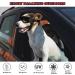 Ownpets Dog Goggles - UV, Snow, Wind, Dust Protection Glasses with Adjustable Strap - Safety Pet Sunglasses for Small and Medium Dogs - Black - Buy Online on SooperMarket.com