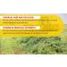 Shorefields Fresh Meadow Hay - Animal Feeding Hay Bale for Rabbits Guinea Pig Horses Hamsters Ponies - Nutritious Grasses & Wildflowers Blend - Green & Dust Free - Buy Online on SooperMarket.com
