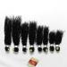 Buy 8-14 Inch Eunice Brazilian Kinky Curly Hair Bundles - Premium Black Jerry Curly Human Hair (8 10 12 Inch) for International Shipping - Buy Online on SooperMarket.com