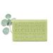 Australian Botanical Soap  Eucalyptus with Lemon  Lime and Petitgrain | 6.6 oz (187g) Natural Ingredient Soap Bars | All Skin Types | Shea Butter Infused - 1 Count Eucalyptus with Lemon 6.6 Ounce (Pack of 1)
