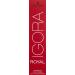 Shwarzkopf Royal IGORA Permanent Hair Color 6-00 (1 x 60 g) 6-00 Dark Blonde Natural Extra 60 g (Pack of 1)