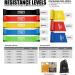 8 Level Resistance Bands Set for Effective Workouts - Booty Bands Included - Buy Online on SooperMarket.com