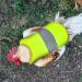Dongker Waterproof Chicken Vest | Reflective & Adjustable Saddle for Hens & Ducks | Pet Protection Clothing - Buy Online on SooperMarket.com