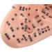 Buy 17cm Ear Acupuncture Point Model - Large Reflexology Learning Display for International Shipping - Buy Online on SooperMarket.com